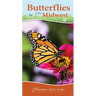 Butterflies of the Midwest: Identify Butterflies with Ease