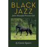 Black Jazz: Julie's Beautiful Friesian Colt