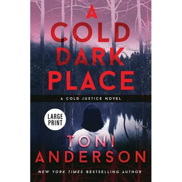 A Cold Dark Place: Large Print