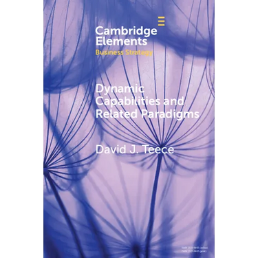 Dynamic Capabilities and Related Paradigms