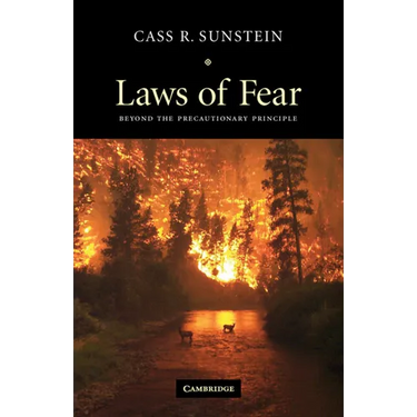 Laws of Fear: Beyond the Precautionary Principle