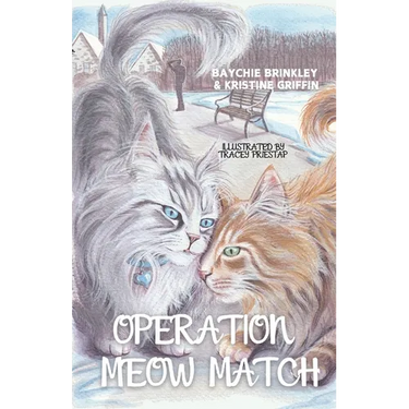 Operation Meow Match