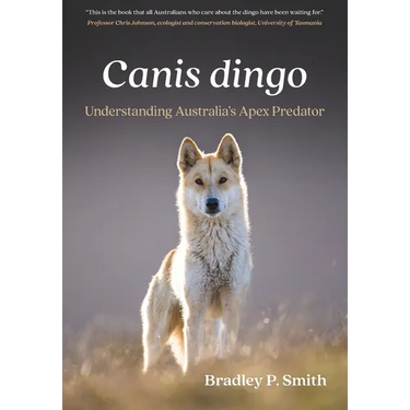 Canis dingo: Understanding Australia's Apex Predator
