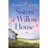 Sisters of Willow House: Utterly heart-warming, feel-good Irish fiction