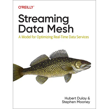 Streaming Data Mesh: A Model for Optimizing Real-Time Data Services