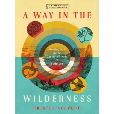 A Way in the Wilderness: Meeting God in the Desolate Places of Scripture--A 6-Week Bible Study with Video Access