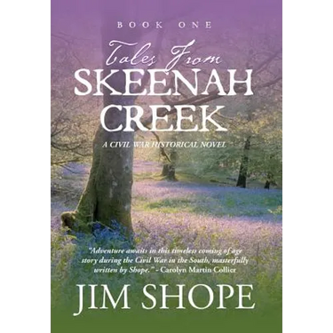 Tales From Skeenah Creek: A Civil War Historical Fiction Novel