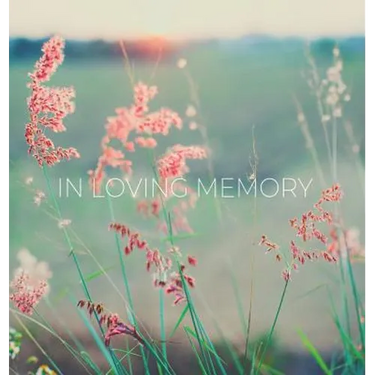Condolence book for funeral (Hardcover): Memory book, comments book, condolence book for funeral, remembrance, celebration of life, in loving memory f