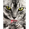 Name The Cat Full-Color Picture Book: Cute Adorable Cats Picture Book for Children, Seniors and every Cat lovers