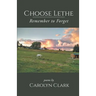 Choose Lethe: Remember to Forget