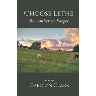 Choose Lethe: Remember to Forget