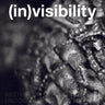 (In)Visibility: Aesthetics of Undocumentedness