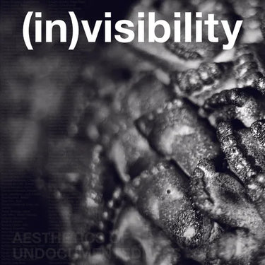 (In)Visibility: Aesthetics of Undocumentedness