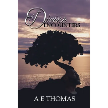 Divine Encounters