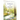 A Glimpse into Eternity