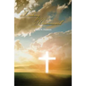 Looking Heavenward
