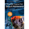 Essential Tropical Fish: Setup & Maintenance Guide