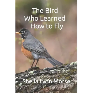 The Bird Who Learned How to Fly