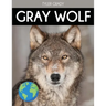 Gray Wolf: Fascinating Animal Facts for Kids