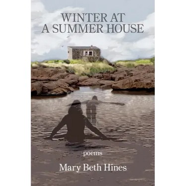 Winter at a Summer House