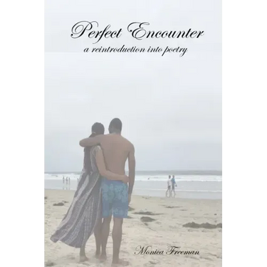 Perfect Encounter: a reintroduction into poetry