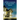 Every Window Filled with Light