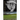 What Remains