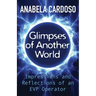 Glimpses of Another World: Impressions and Reflections of an EVP Operator