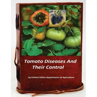 Tomato Diseases And Their Control
