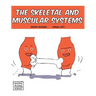 Skeletal and Muscular Systems