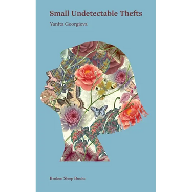 Small Undetectable Thefts