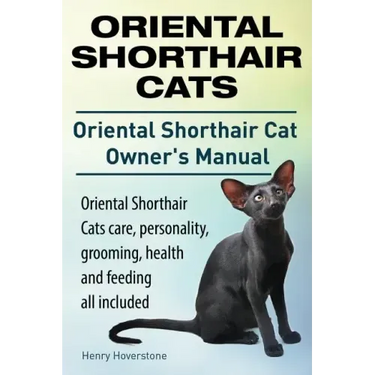 Oriental Shorthair Cats. Oriental Shorthair Cat Owners Manual. Oriental Shorthair Cats care, personality, grooming, health and feeding all included.