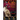 The Cats that Stopped the Magic