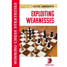Exploiting Weaknesses: Winning Chess Strategies