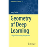 Geometry of Deep Learning: A Signal Processing Perspective