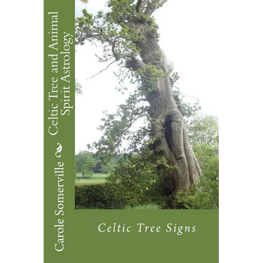 Celtic Tree and Animal Spirit Astrology: Celtic Tree Signs