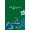 Little Brothers of the Air