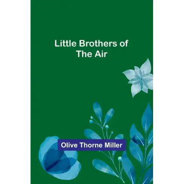 Little Brothers of the Air
