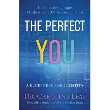 The Perfect You: A Blueprint for Identity