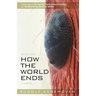 How the World Ends (Book One)