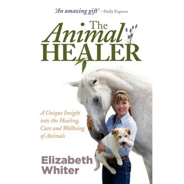 The Animal Healer