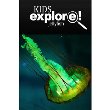 Jellyfish - Kids Explore: Animal books nonfiction - books ages 5-6