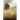 Biblical Prophetical Chronicles of the Last Generation "Revelation: The Final Layer Revealed"