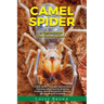 Camel Spider: A Camel Spider Pet Owner's Guide