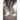 Republic of Shade: New England and the American ELM