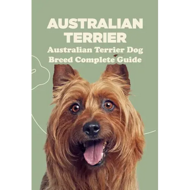 Australian Terrier: Australian Terrier Dog Breed Complete Guide: What You Need To Know About Australian Terrier