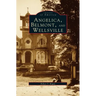Angelica, Belmont, and Wellsville