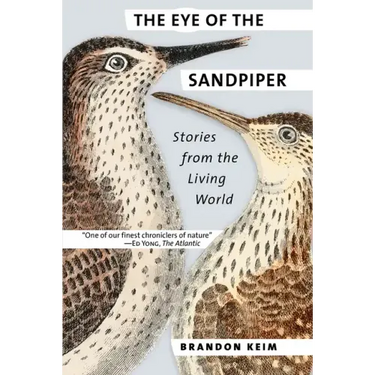 The Eye of the Sandpiper: Stories from the Living World