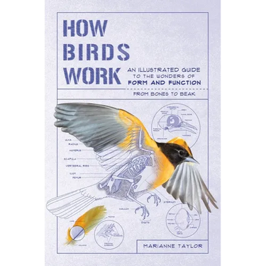 How Birds Work: An Illustrated Guide to the Wonders of Form and Function - From Bones to Beak