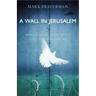 A Wall in Jerusalem: Hope, Healing, and the Struggle for Justice in Israel and Palestine